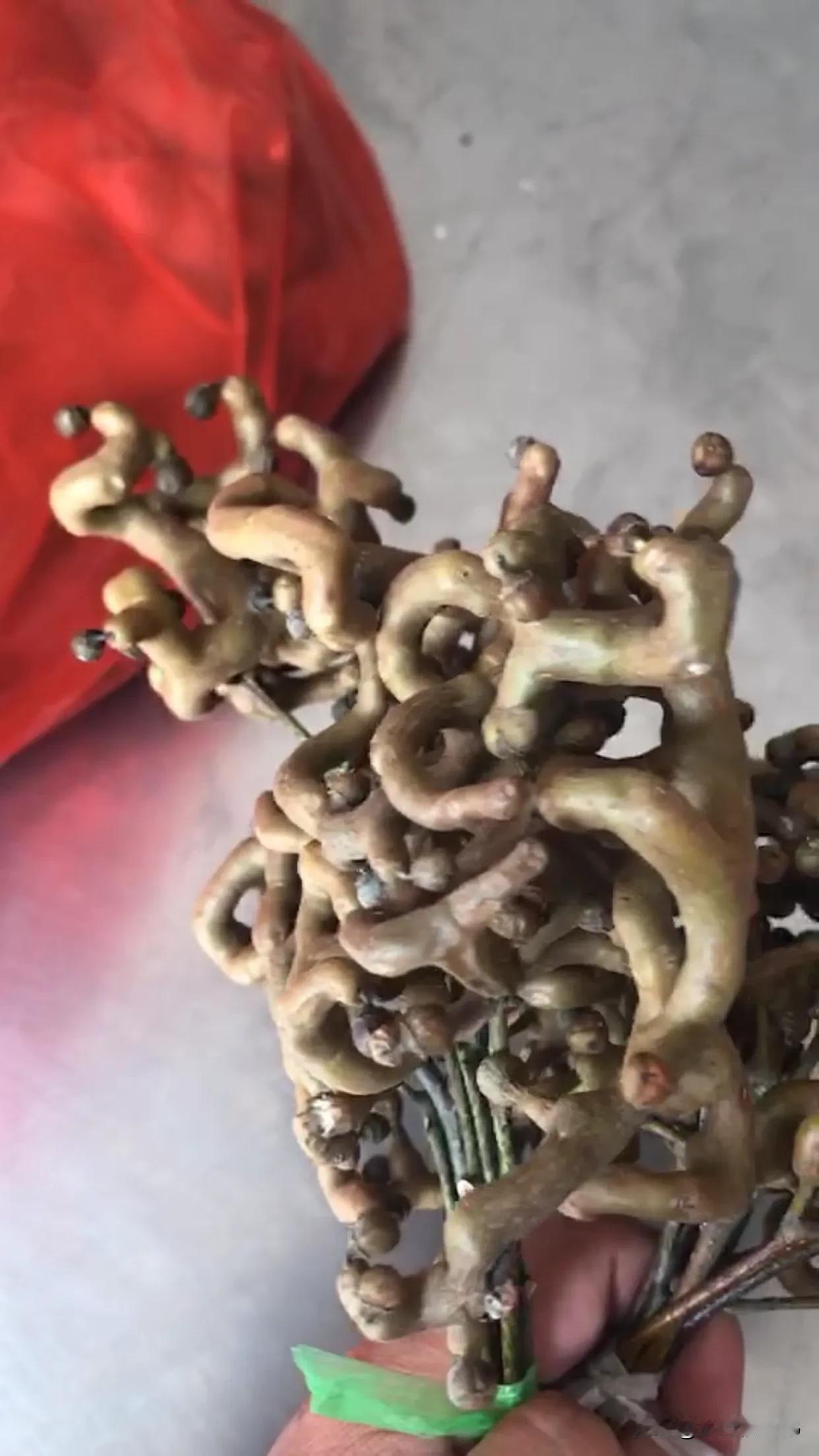 有认识这三种东西的吗？