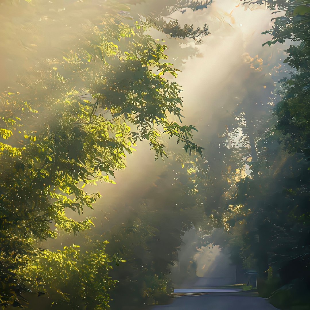 风氺小Tip说说本月五虎杀位的情况啊，位置在申、酉两山。中间夹了一个庚山，一并算