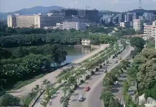 历史老照片之80年代的广州越秀区。照片拍摄的道路是广州的人民北路，左边的湖就是流