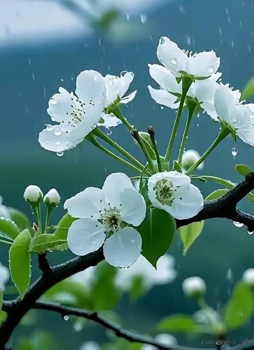 什么是历史、民心和时间的检验？不畏强权、坚持真理，敢于说真话讲实话，光明磊落、胸