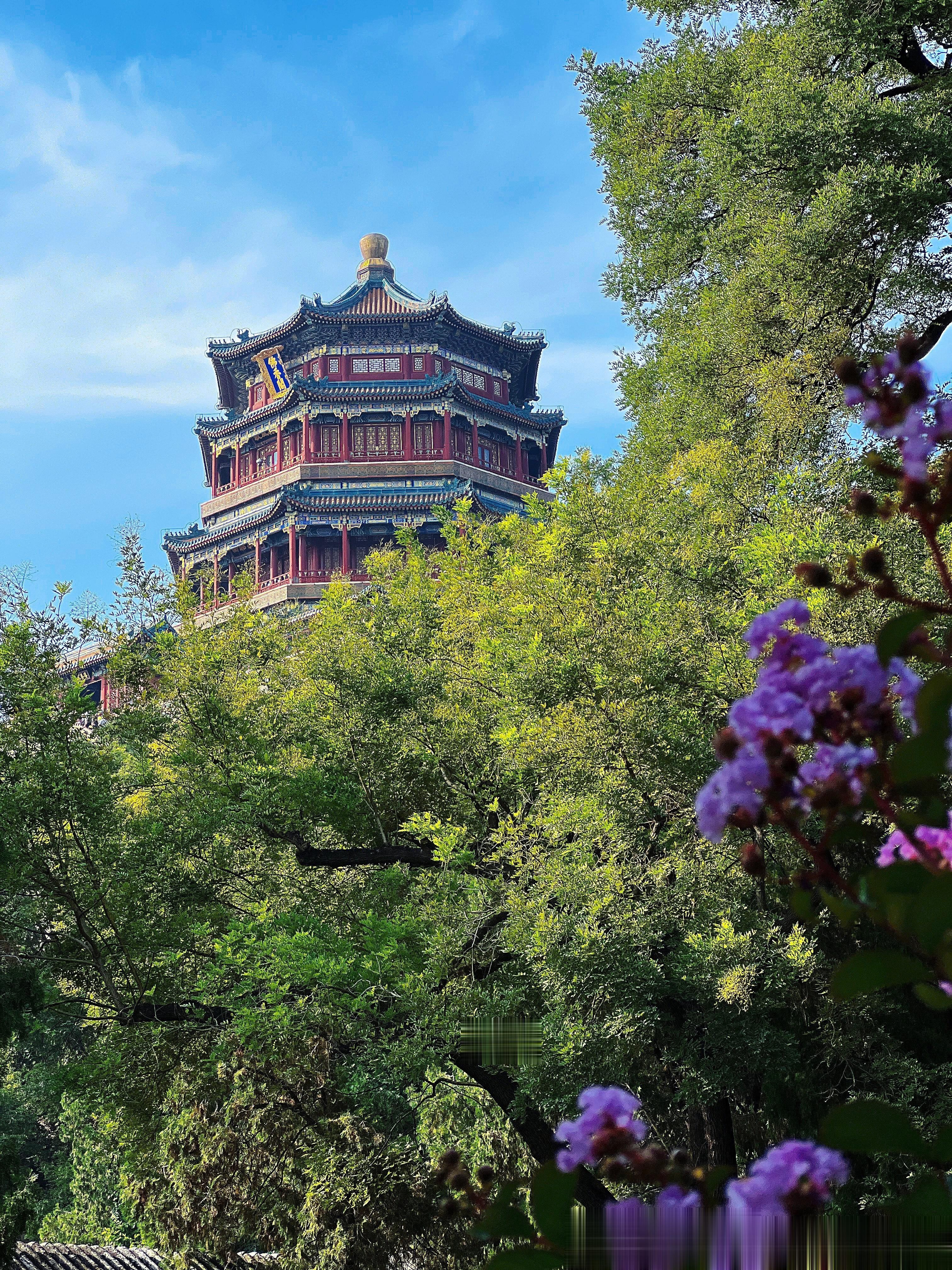 颐和园真的太大太美了  不得不佩服老祖宗的审美    就是节假日人巨多   认真