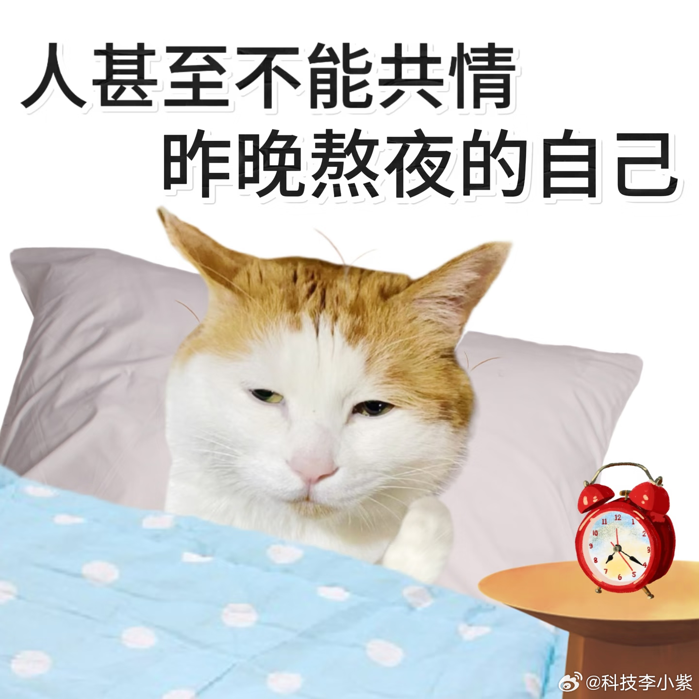 熬夜之后如何正确恢复身体最好还是不要熬夜，熬夜第二天起床真的很难受！大家有没有感