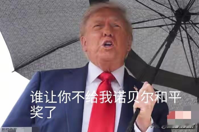 挪威首相斯特勒表示不能背特朗普这一黑锅。据欧洲新闻网报道，当地时间19日，特朗普