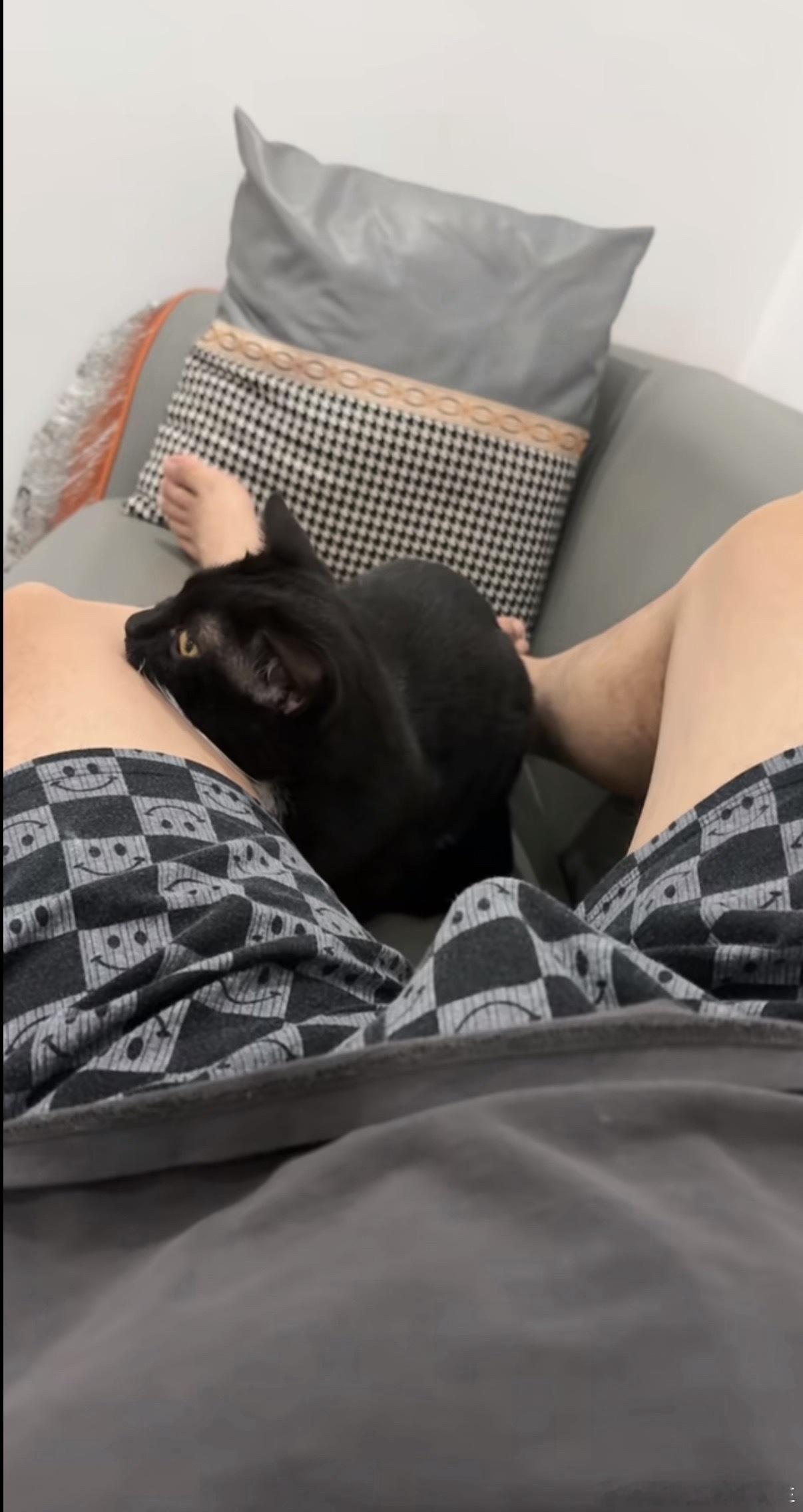 好可爱的小猫咪[色][色] ​​​