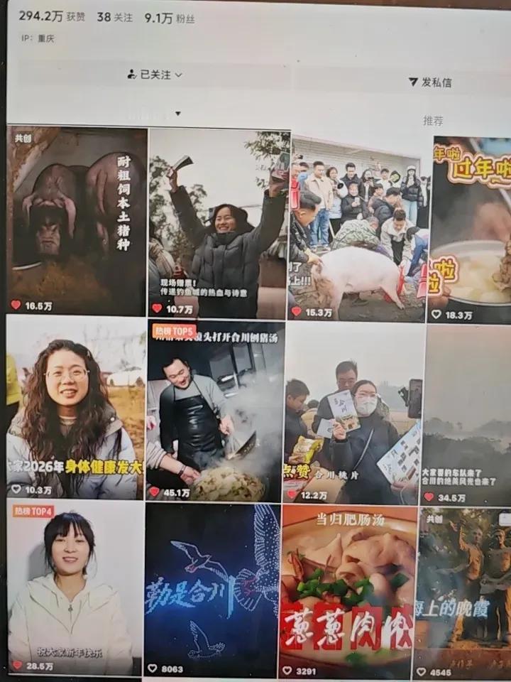 合川文旅呀合川文旅，你干了十年才获得100万点赞，昨天一天一个呆呆就给你带来了1