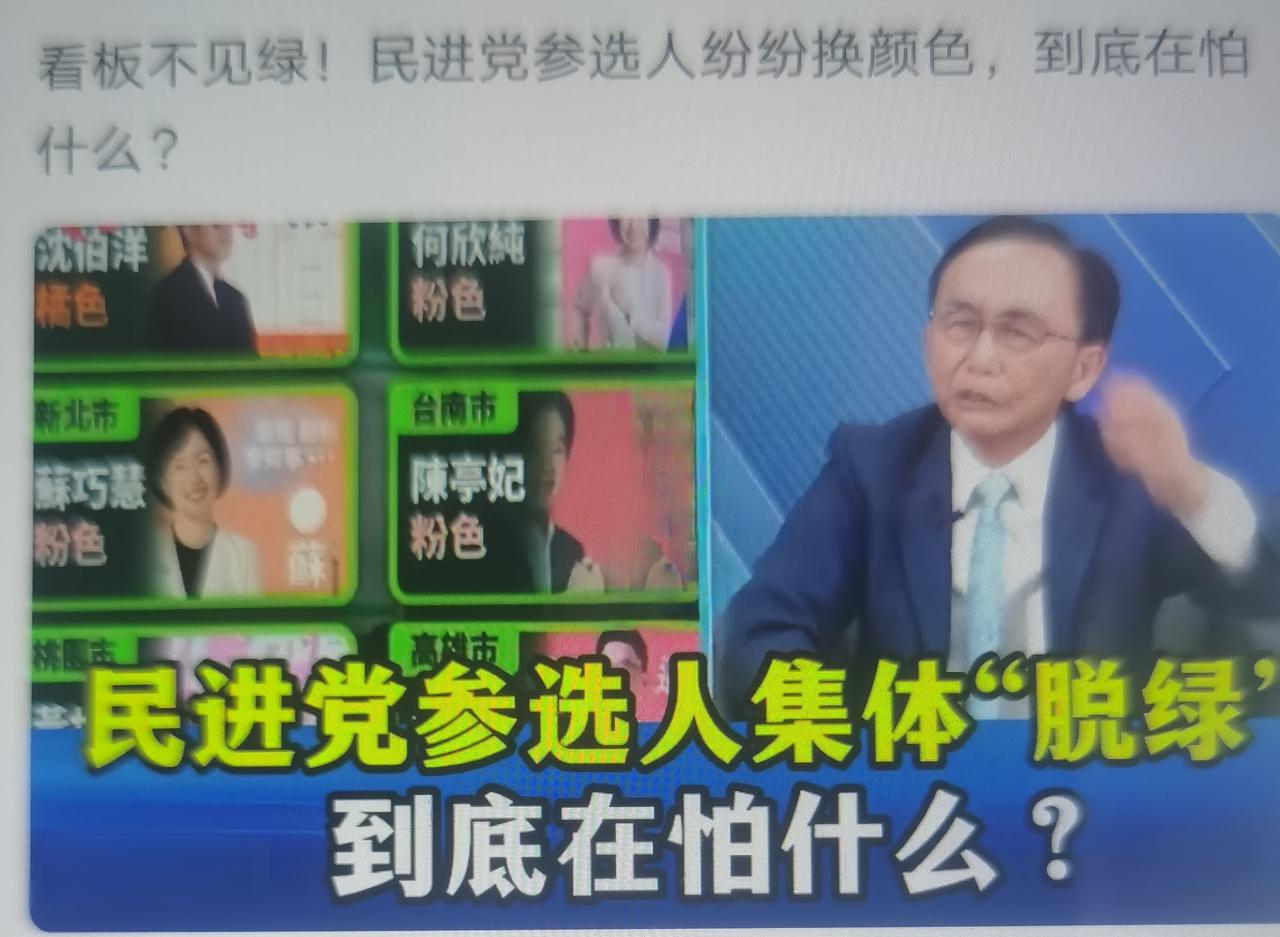 吴子嘉（美丽岛电子报董事长，早年绿营背景，后遭民进党开除党籍）在政论节目提出“集