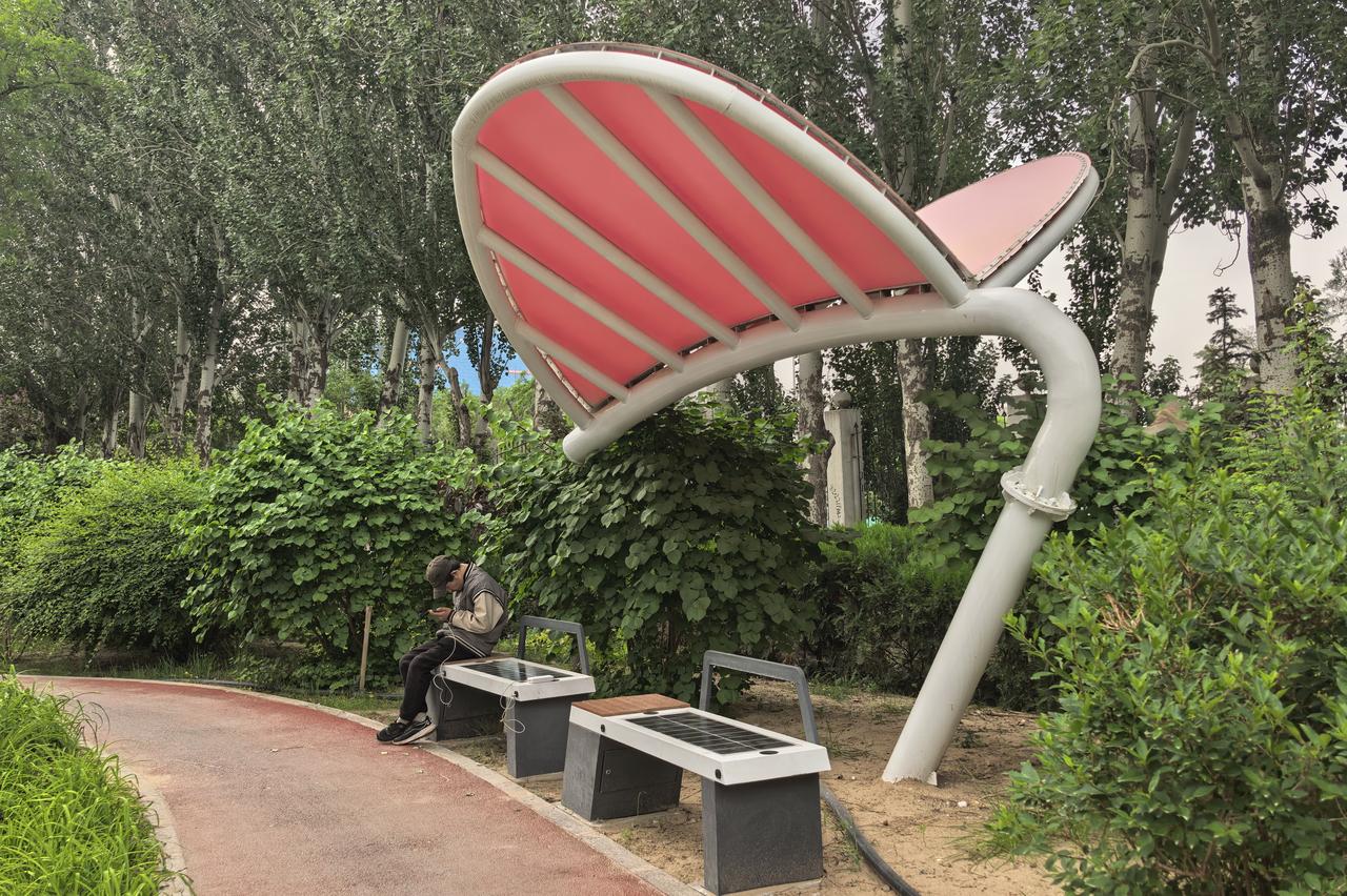 宁夏大学旁的「阳光充电站」，坐享科技与绿意｜宁夏大学旁的步道上，遇见了这些会“呼
