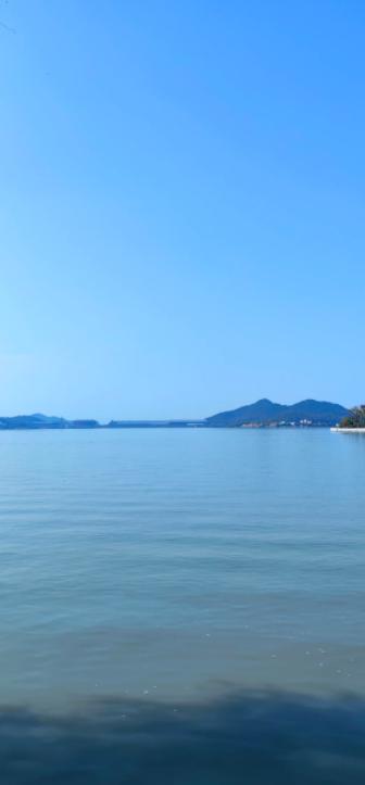 油价暴涨冲击全球，这次有何不同？
亲爱的朋友们大家好，我是海林小百科！今天我们聊