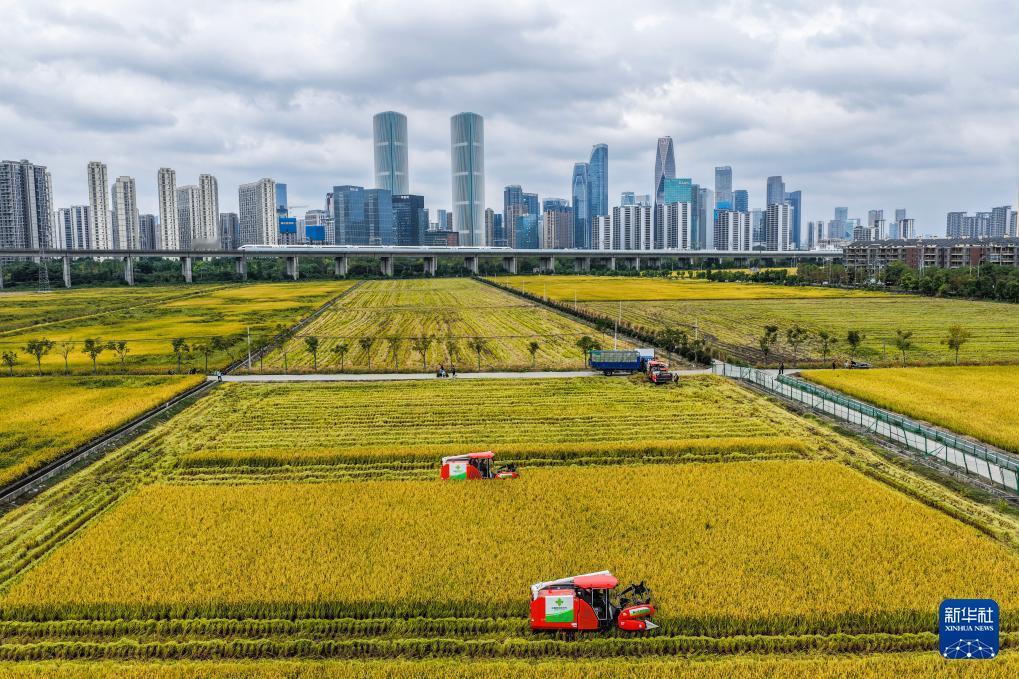 以下是一些今日的新闻：
 
- 2026年度中央机关公开遴选和公开选调公务员报名
