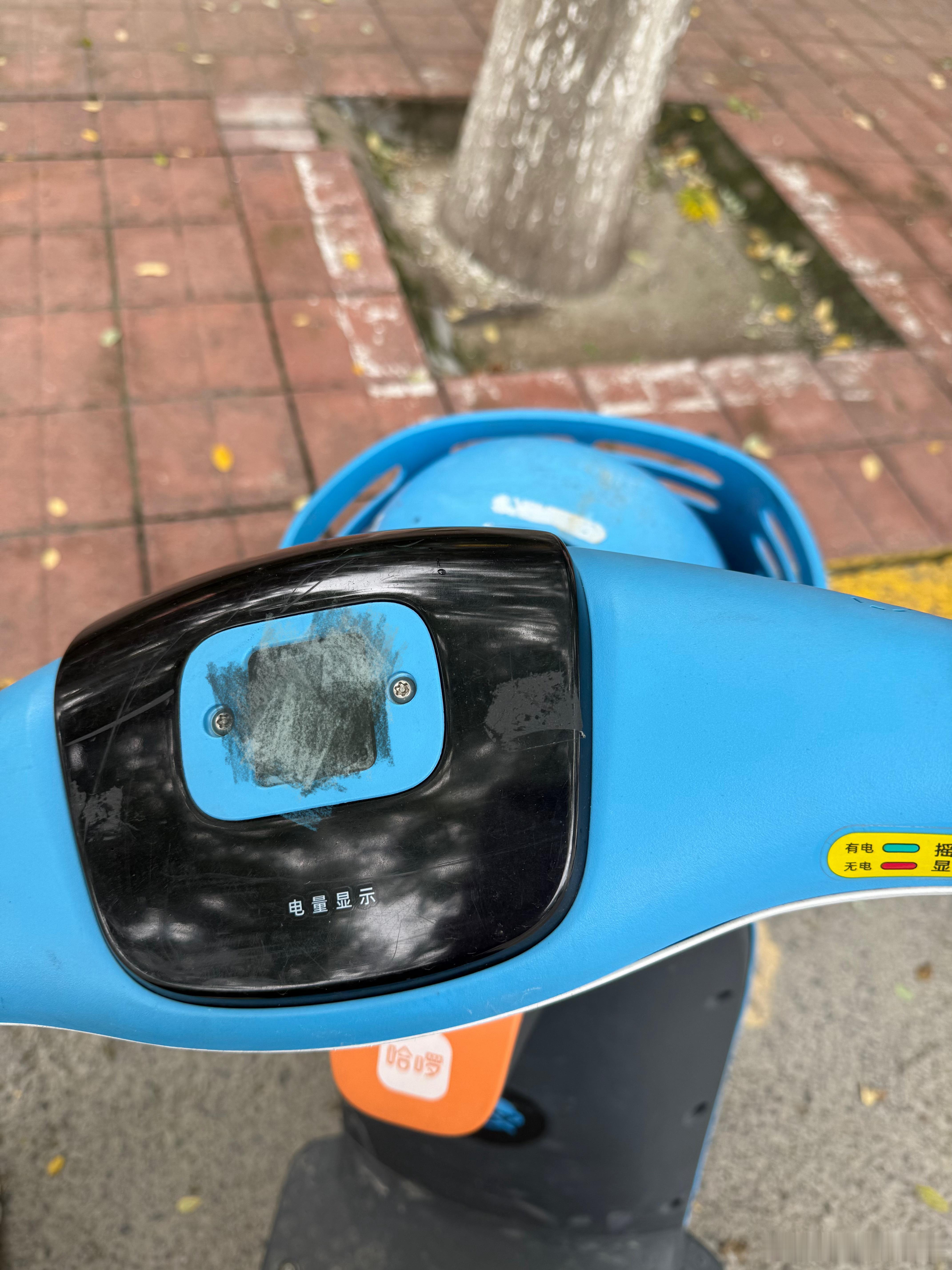 车送修了，骑个小蓝车把还是歪的[允悲][允悲][允悲] ​​​
