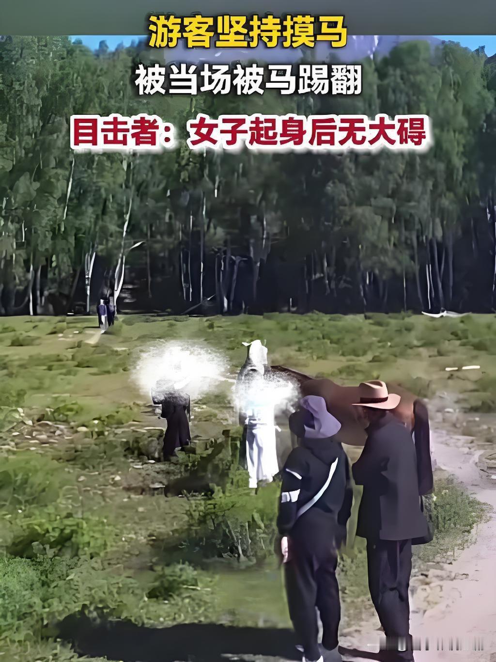 新疆阿勒泰景区内，一名游客阿姨明知同行人此前讨论过，这匹马被绑腿是因为性格顽劣、