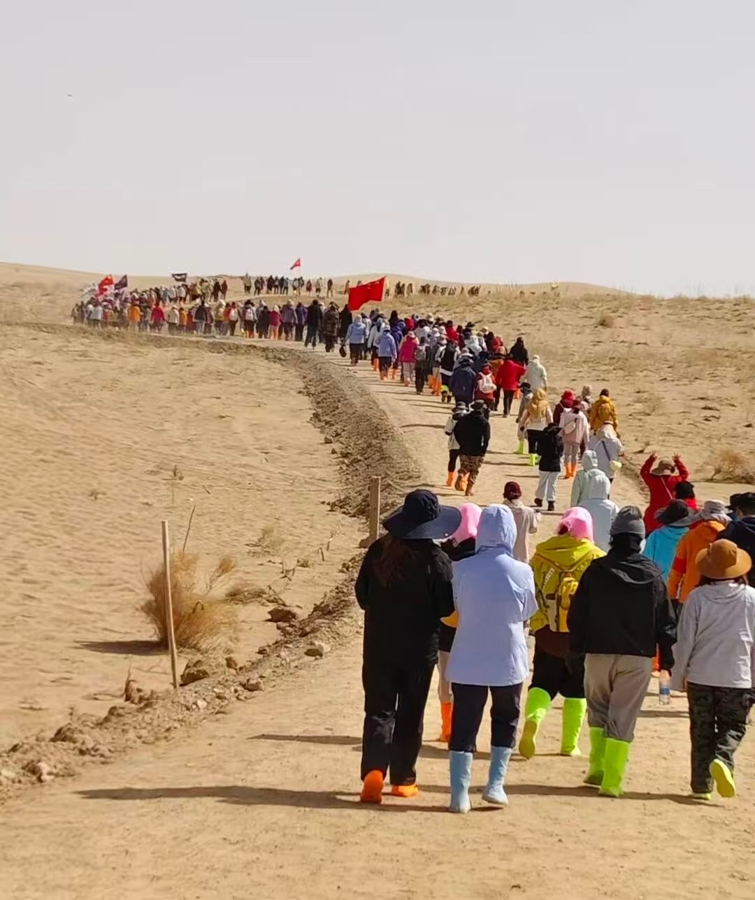 被中国人的沙漠植树奇迹震撼了 沙退绿进是很多种树人的想法，也是很多种树人目前正在