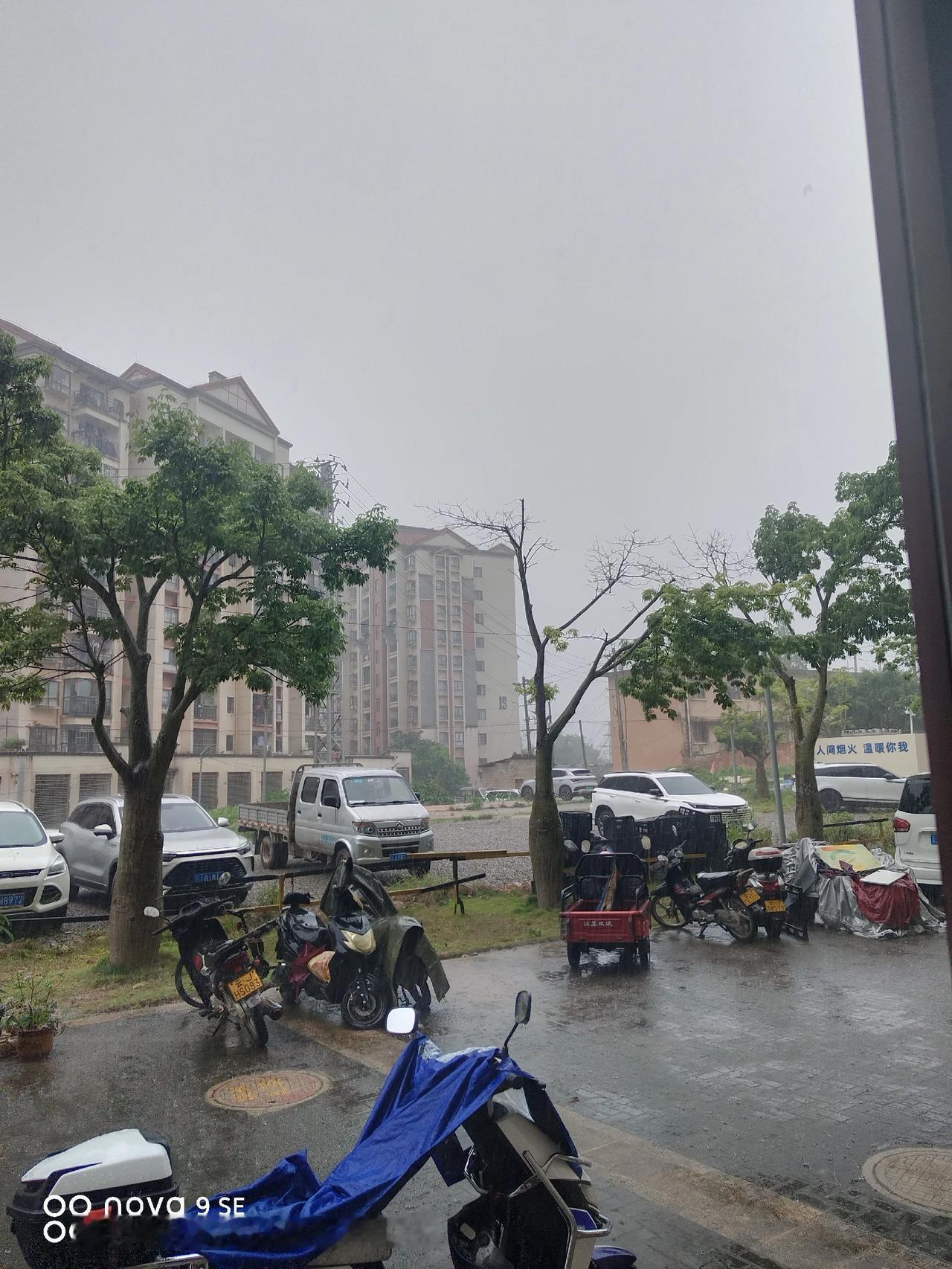 今天翻出了2016年的班章老茶头，下雨天☔️配熟普🌧 真的刚好

其实我这人吧
