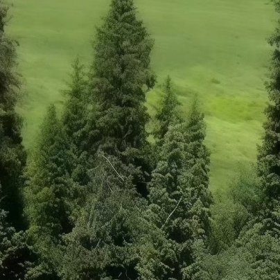 0000善良就是一股股流动的清泉，给万物带去生的希望和光明的前程。善良是清泉，让