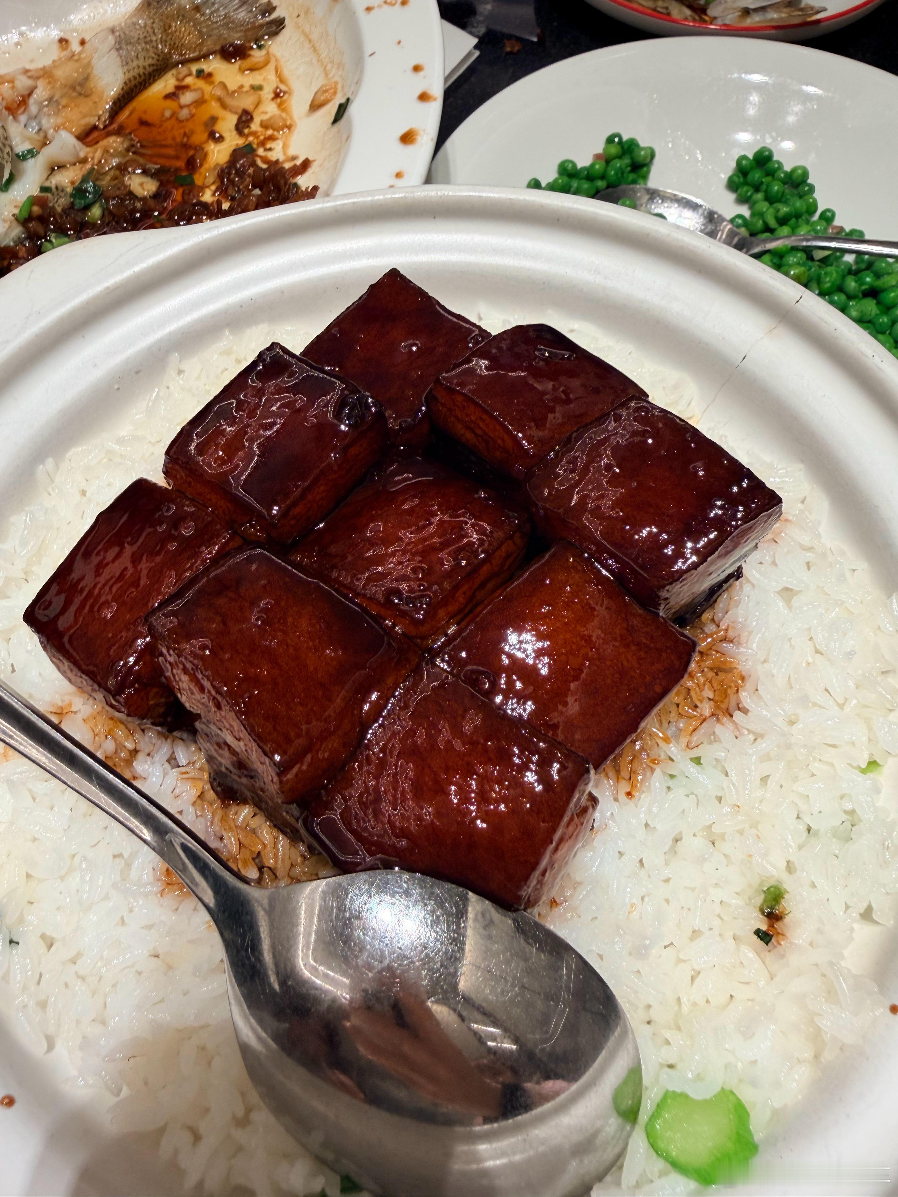 我的日常plog大v聊车我与汽车的日常 杭州·钱塘江大桥