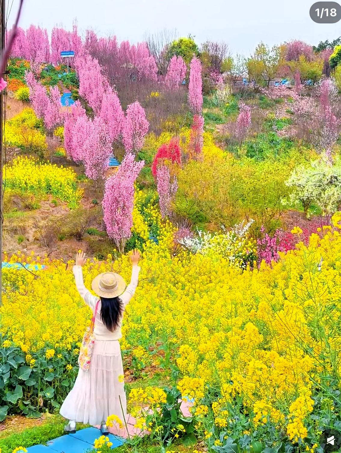 突然被这段话治愈了
一个男人最大的失败，
就是亲手把自己的老婆逼成了独立冷漠，