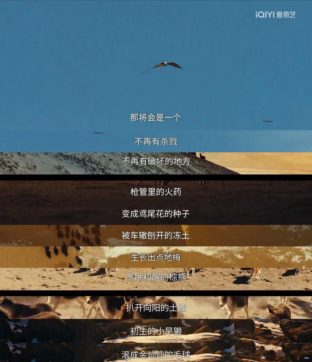 看完生命树才懂什么是山河辽阔  被确诊为生命树后遗症看完《生命树》，我真的太想去