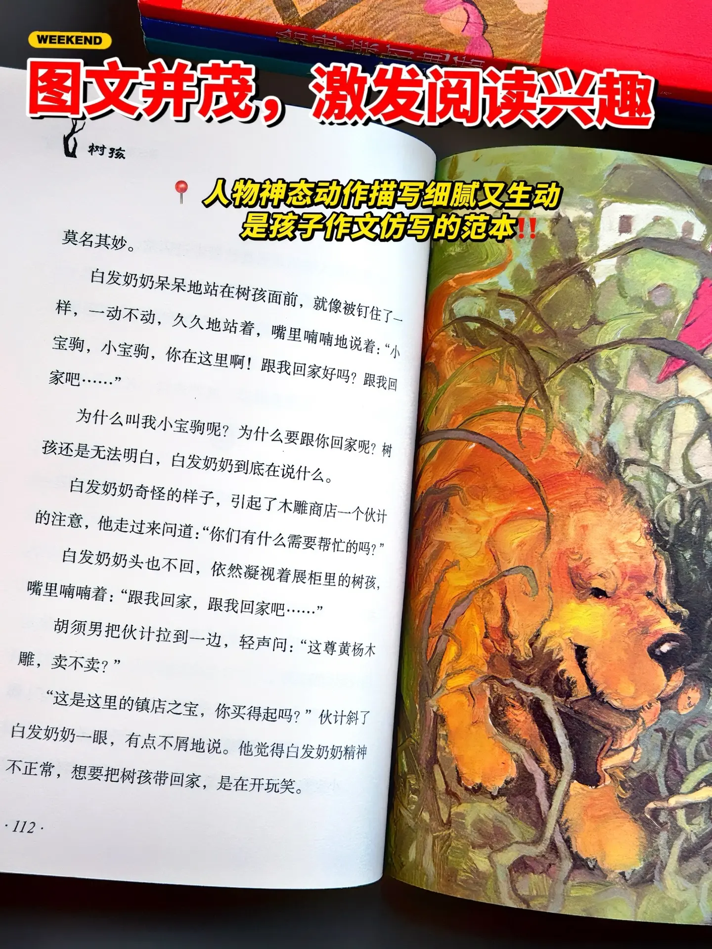 赵丽宏老师的散文故事集，文笔太绝了🔥。随手一翻都是好词好句，根本摘抄...