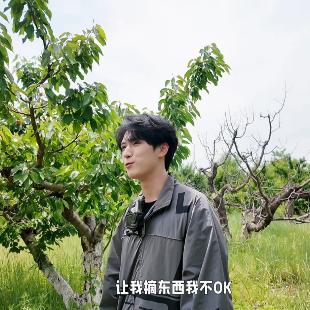 庶子怕虫又懒就不摘直接躲车上，樱樱怕鬼屋密室恐高一切团综的相关项目都努力克服恐惧