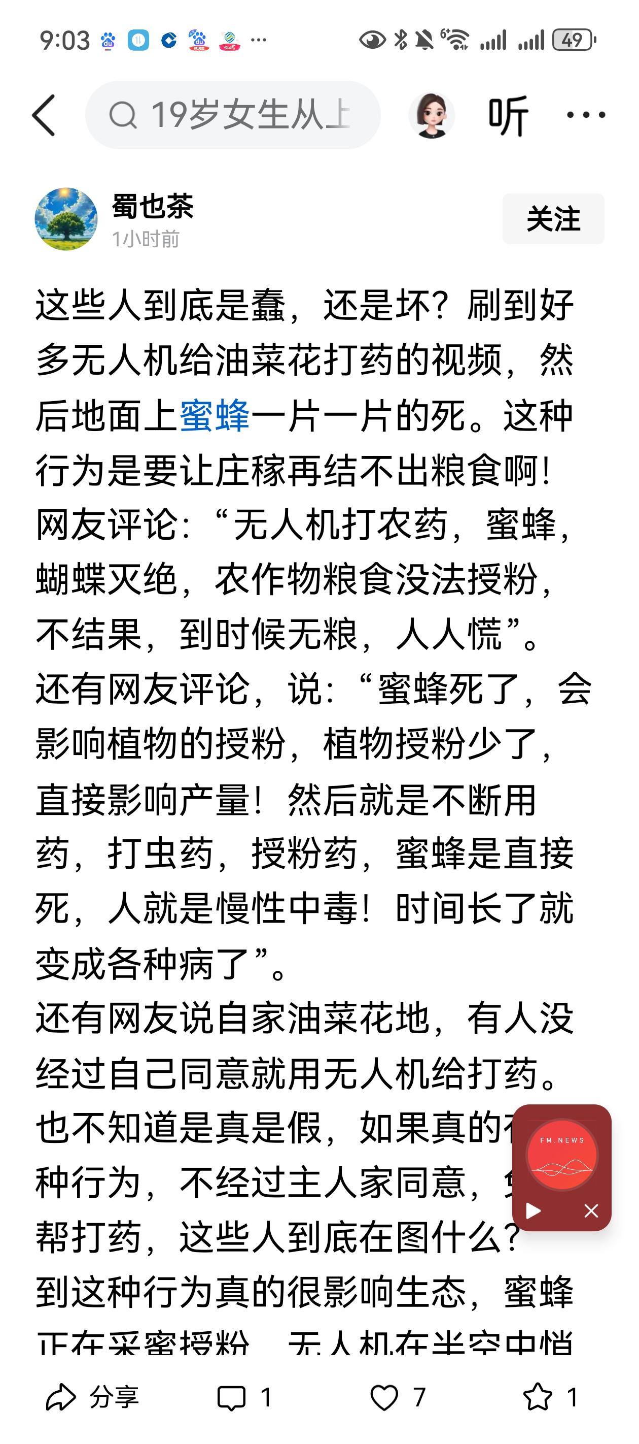 油菜花期是基本没有虫害的，这时候打药伤害的是蜜蜂。油菜是虫媒花，需要蜜蜂授粉。另