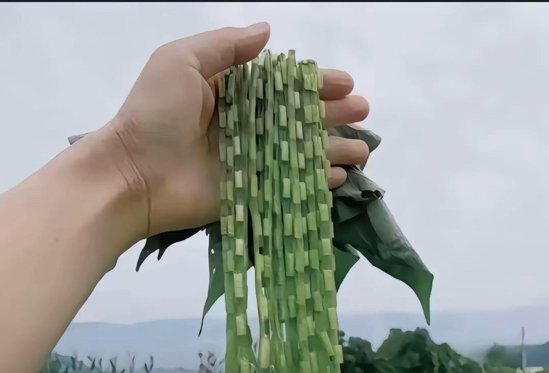 玩过这个的都多大年纪了