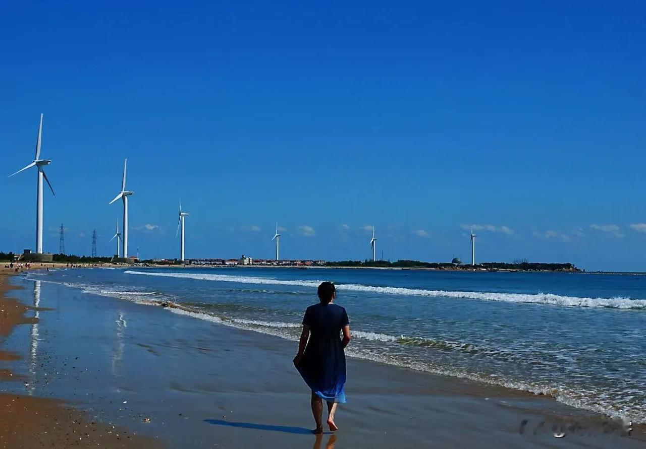 海岸边，一排排高耸的风力发电机迎风而立，宛如守护海岸的卫士。它们的叶片在海风的吹