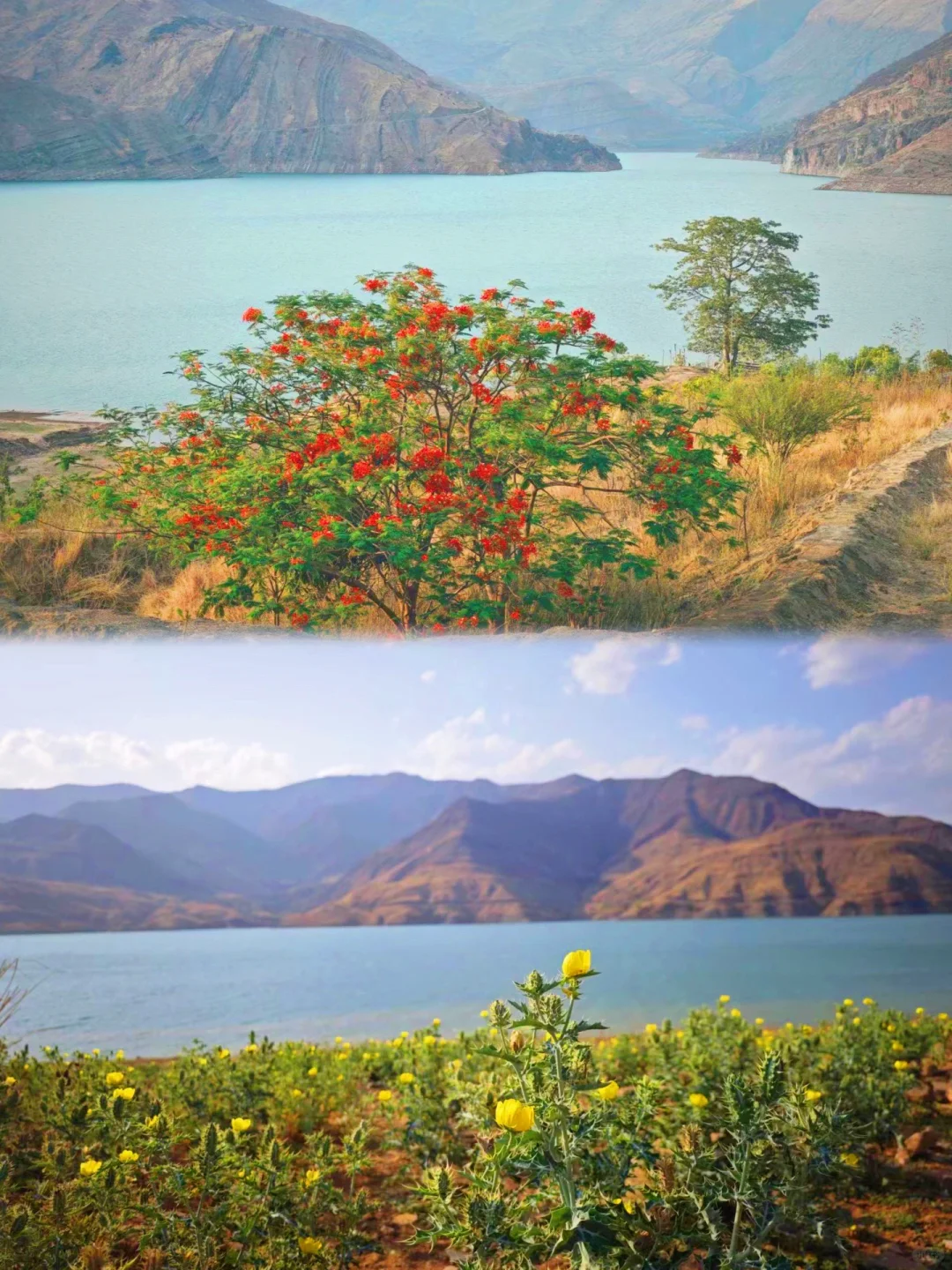 离昆明最近的加州温泉♨️ 露营探到温泉营地