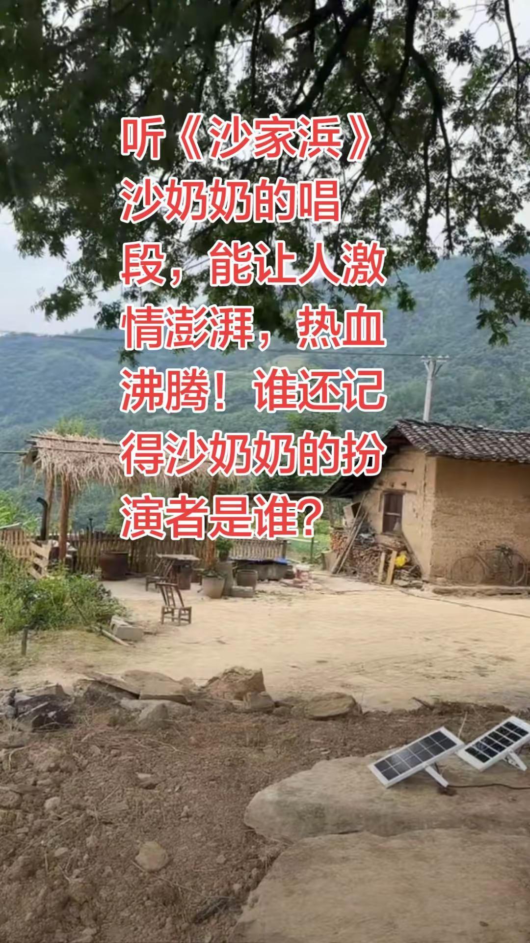 听沙奶奶的唱段是一种享受！谁还记得沙奶奶的扮演者是谁？京剧 现代京剧沙家浜