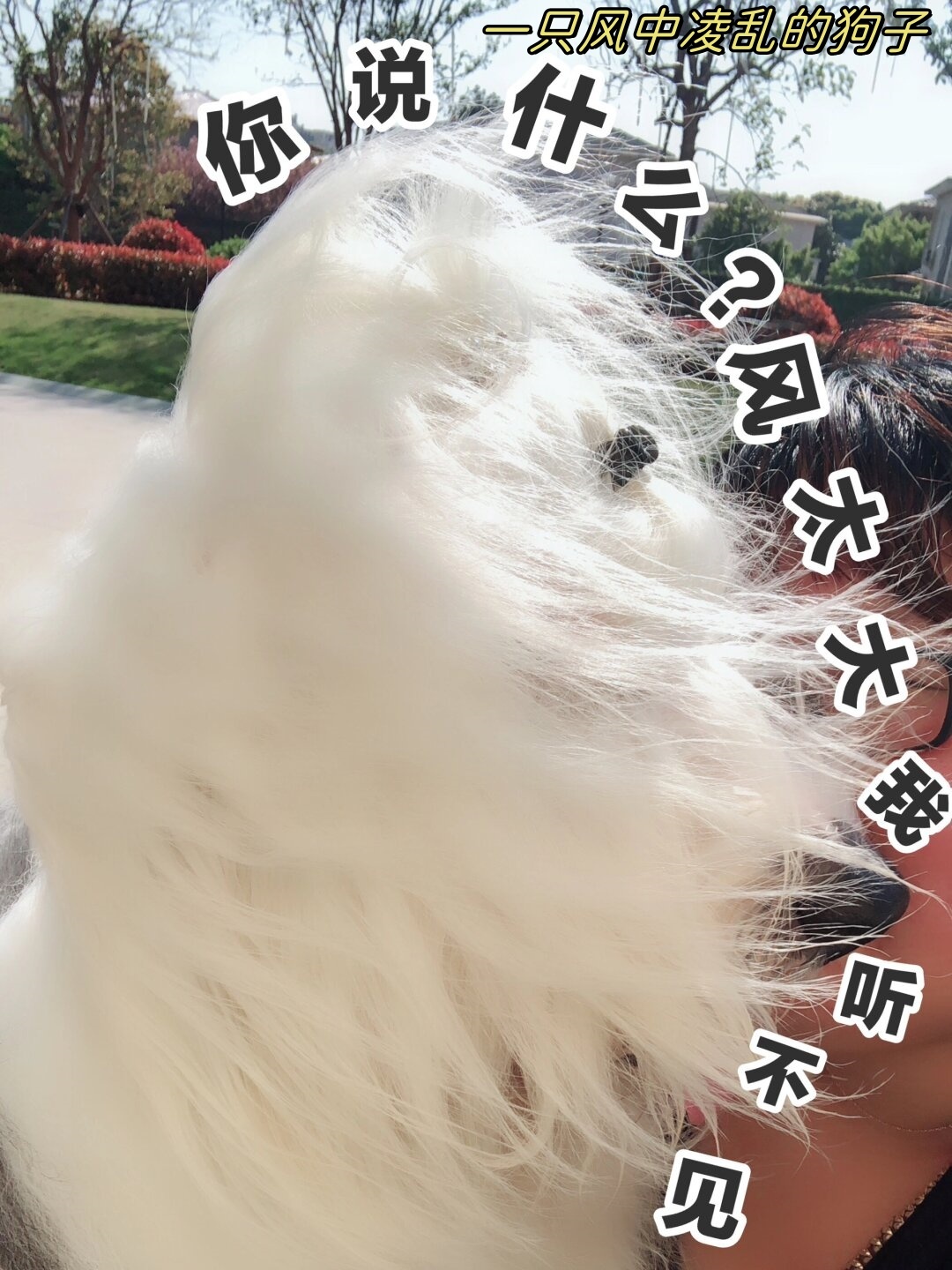 终于开回上海了风好大啊！ 