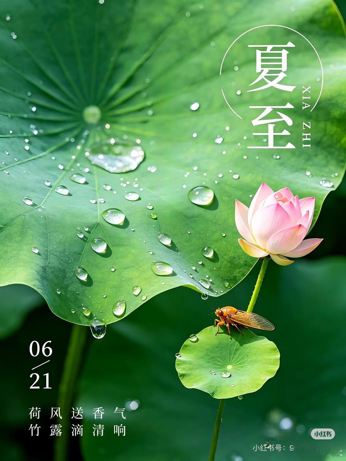 丙午年夏天养生记住这几点。出汗后千万别马上吹空调、冲冷水澡，日常多喝温水，少碰冰