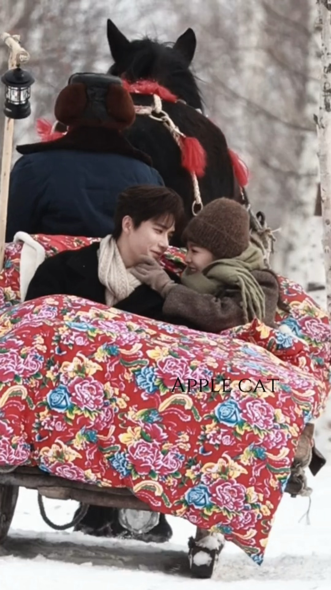 演一天韩剧奖励一集乡村爱情王安宇章若楠一天韩剧一天乡村爱情