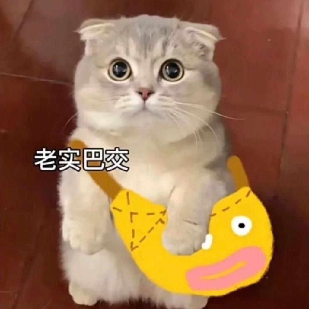 我是小透明 