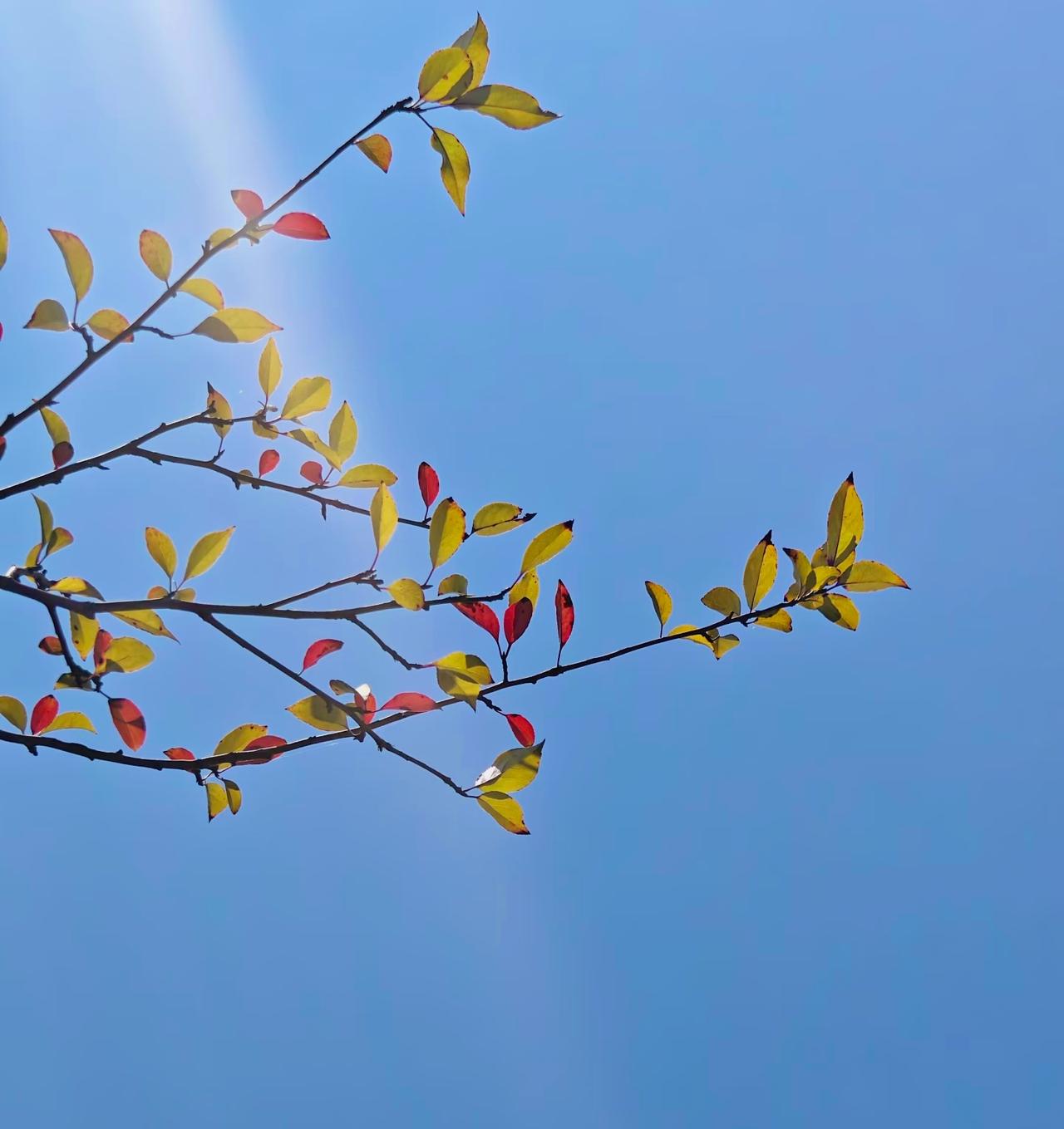写微头条难留读者？“结尾留余味法”提升内容停留时长，字字勾住注意力
很多人写的微