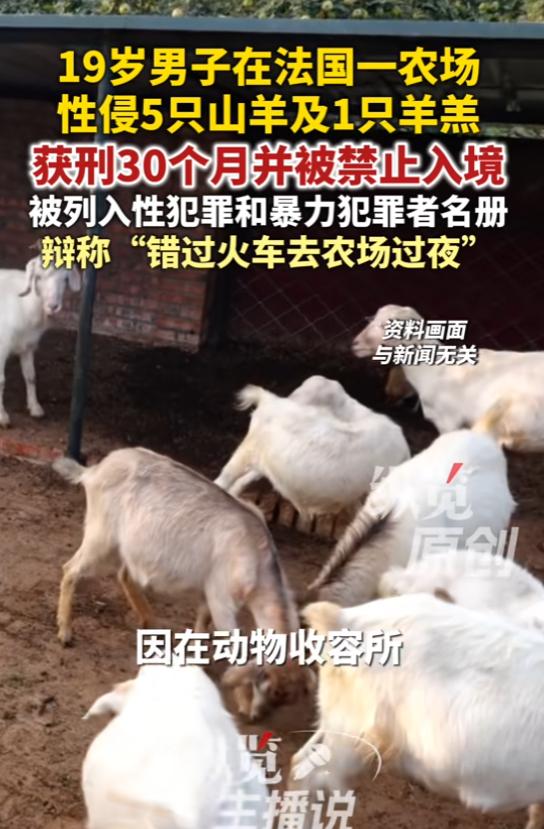 没救了！6月24日报道，法国，一男子比较变态，竟潜入一所农场，侵犯了5只山羊和1