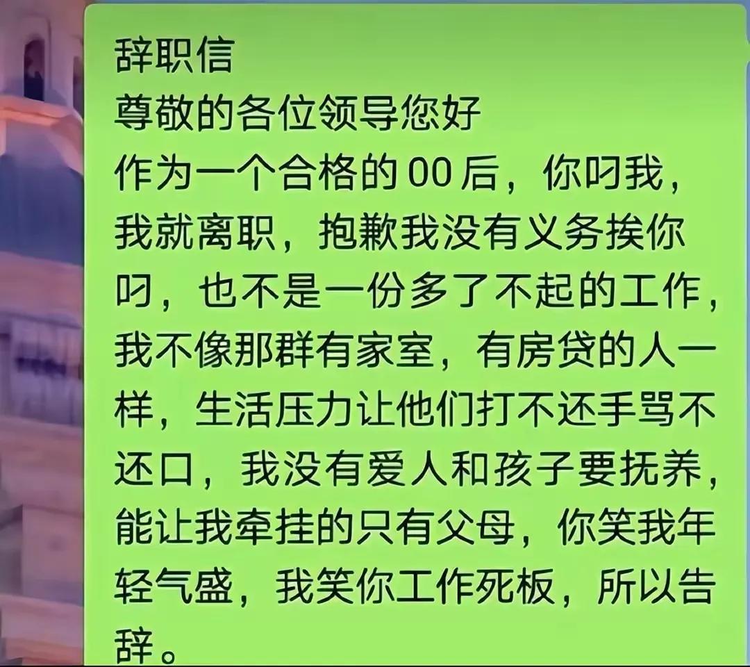 我是一名00后，你问我为什么辞职，我说因为：

我头太大，戴不了领导扣的帽子；
