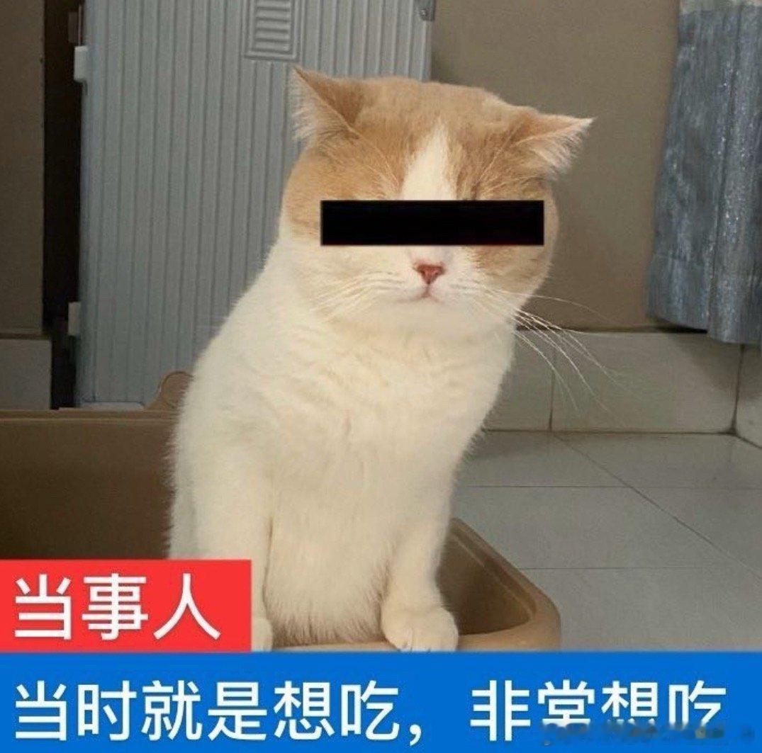 回来以后就各种找面吃馋亖了，吃完以后心神就放到肚子里面了。不然就像在海南人是飘着