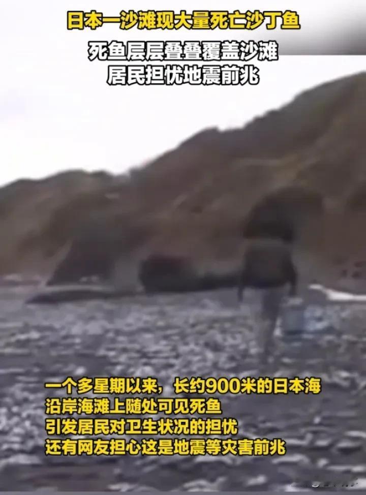 日本海滩死鱼堆积，海洋生态警钟敲响
 
据新华社报道，从去年12月下旬起，日本北