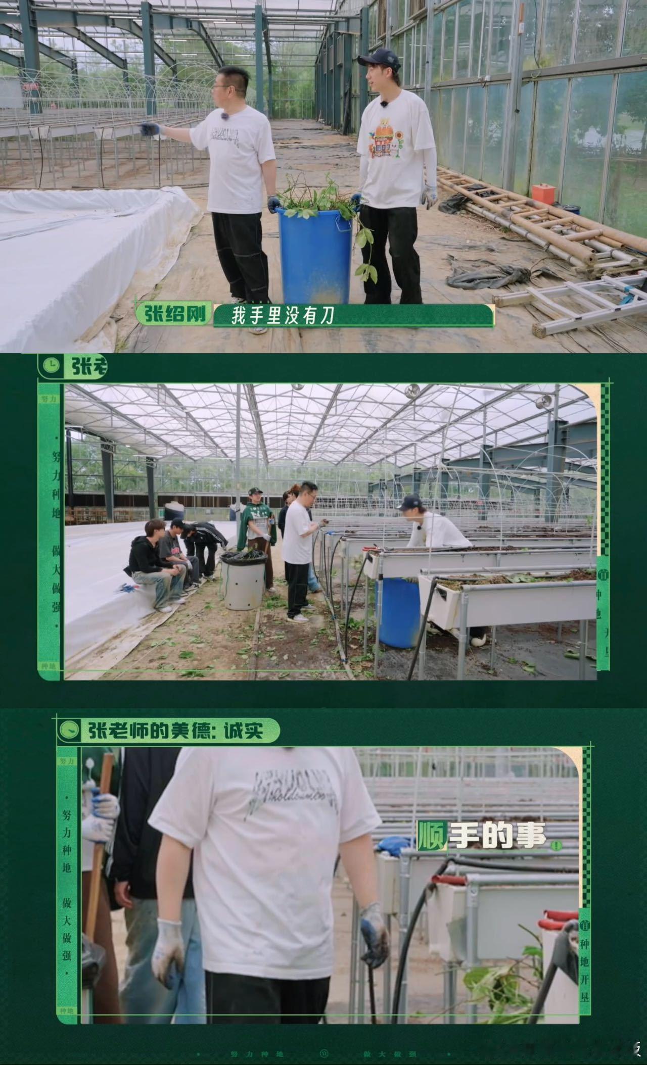 十个勤天对大棚就像我对我心肝种地吧谁懂这份极致偏爱！十个勤天对待后陡门大棚，就像