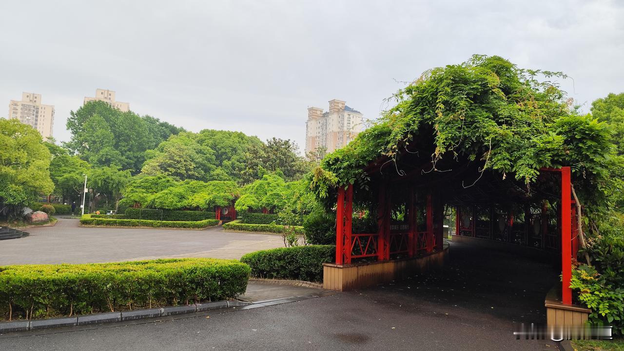 分享一下你随手拍下的照片初夏公园景色