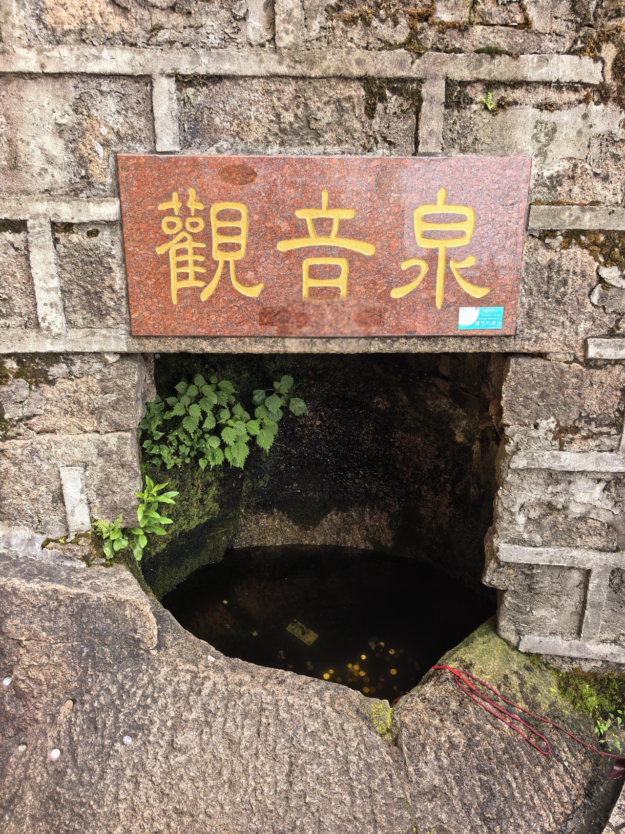 九华山天台山观音峰里有一清泉“观音泉”

九华山天台峰观音峰（又称观音峰上院，原