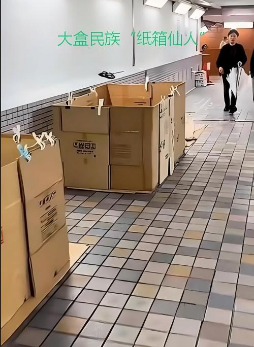 你看到的美好，全是别人精心筛选的假象 ，我一直以为，日本是顶流发达国家，全民高福