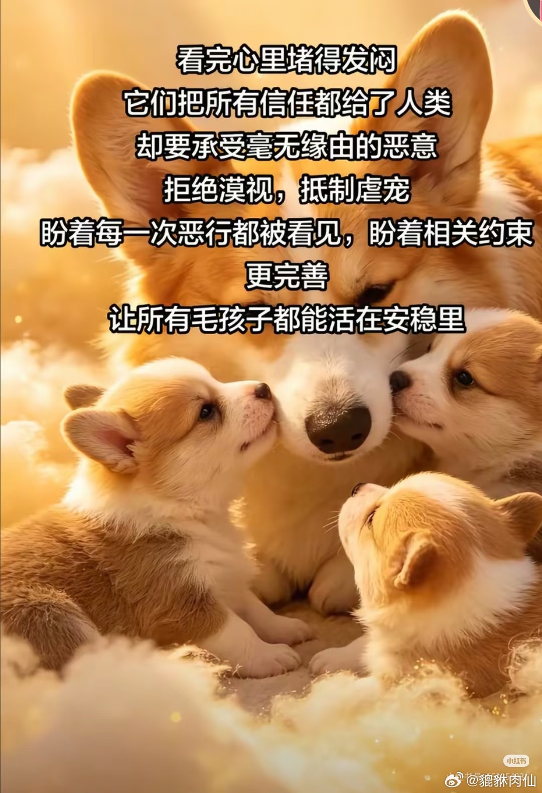 他们杀的不仅是狗，还是母亲。以她的孩子为要挟，她本可以跑，但她还是留了下来。广东