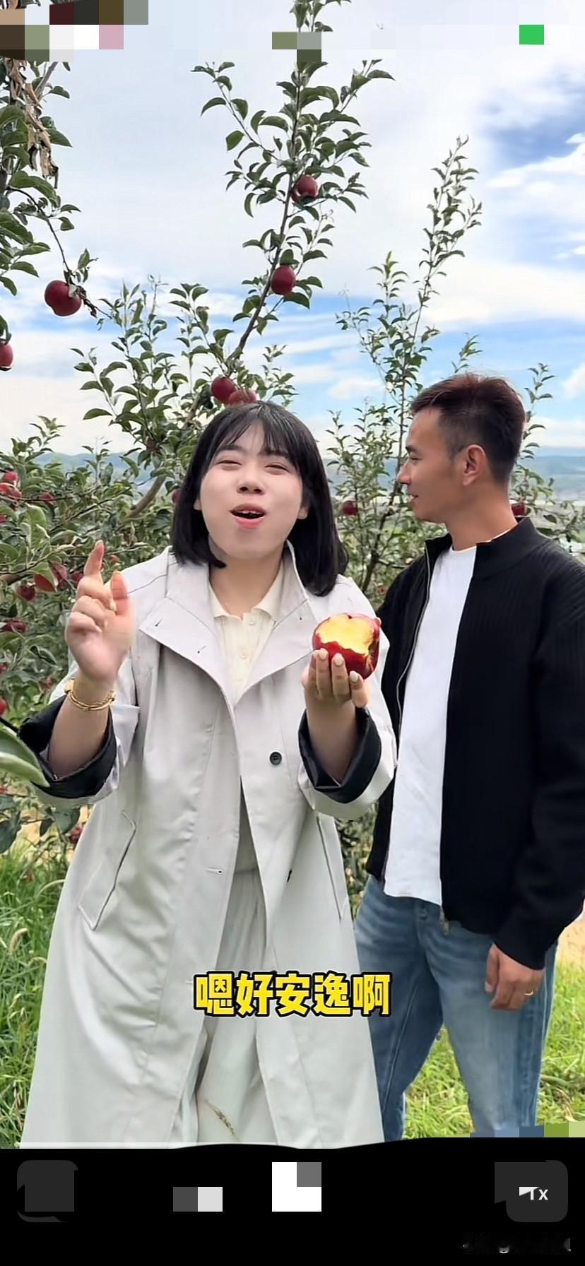 厉怀远和妹妹三水来云南昭通卖苹果来了！
兄妹二人来到苹果园，只见树上的苹果红彤彤