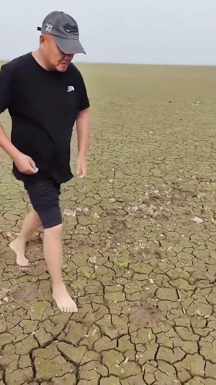 白总解救野生动物麋鹿。今天我在一个要干了小河边看到了一个鹿，看看这个鹿被困住了，