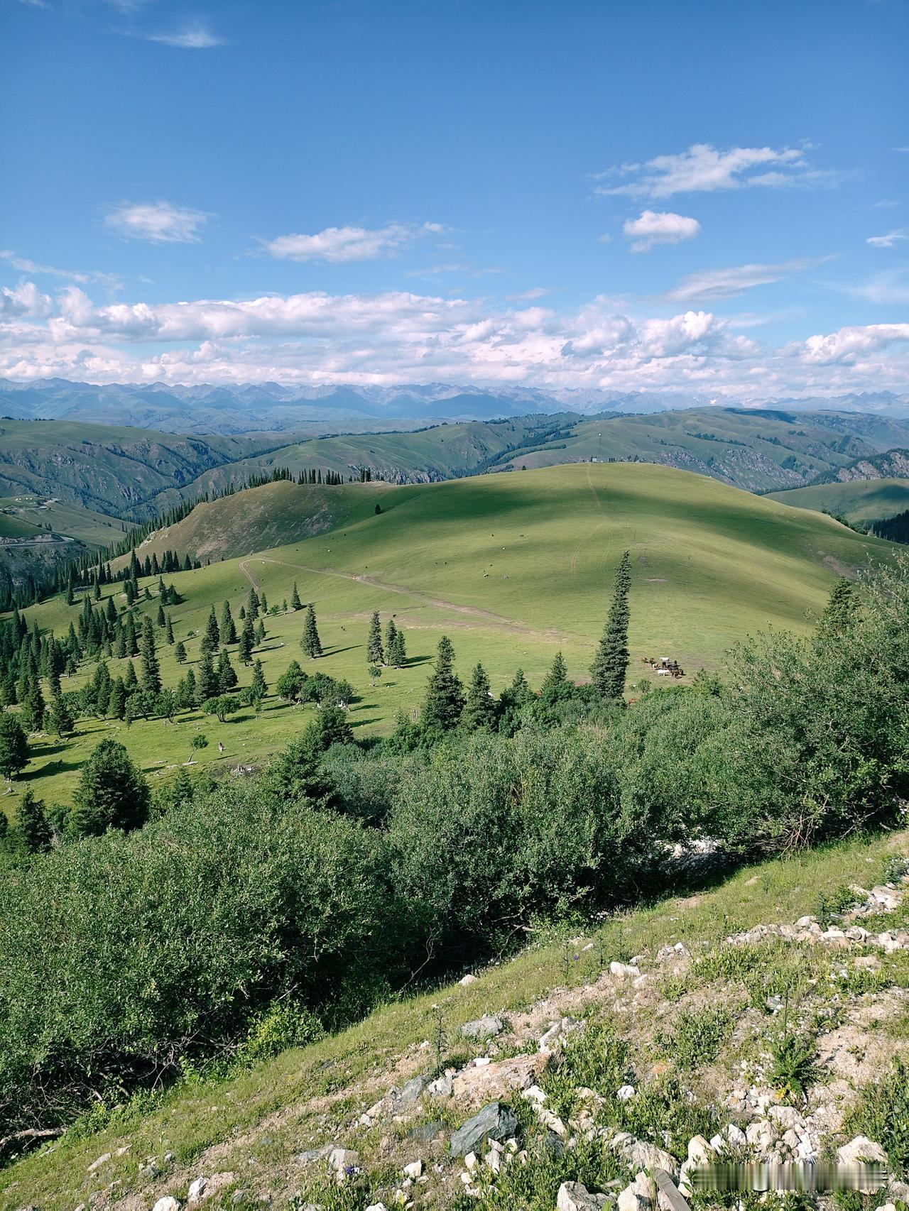 去新疆吃点啥最有特色?

我从小在新疆长大。18岁考上大学毕业后便一直留在内地工