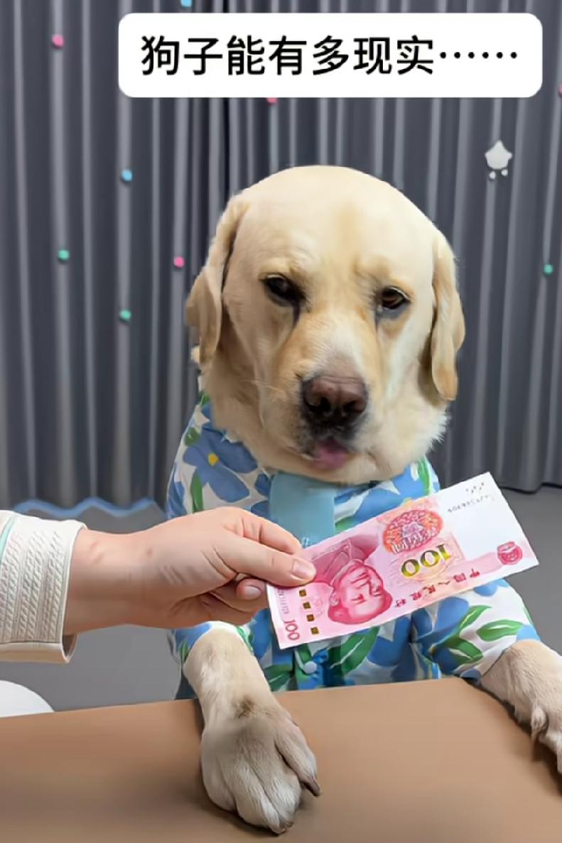 能不能管一管这样的视频，人民币这样糟蹋，传播病菌。
关键是这样的表演越来越多，你