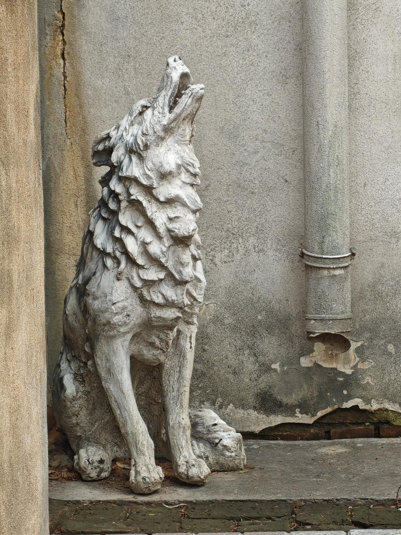 那嘶吼的模样越逼真，就越衬出一种无人问津的孤独。它像极了生活里的我们，也曾有过满