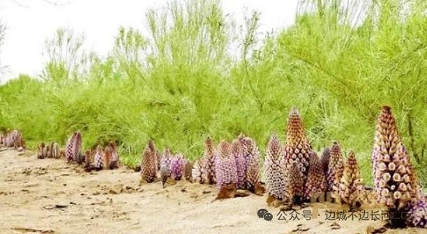 看看你相册里最舍不得删的一张照片