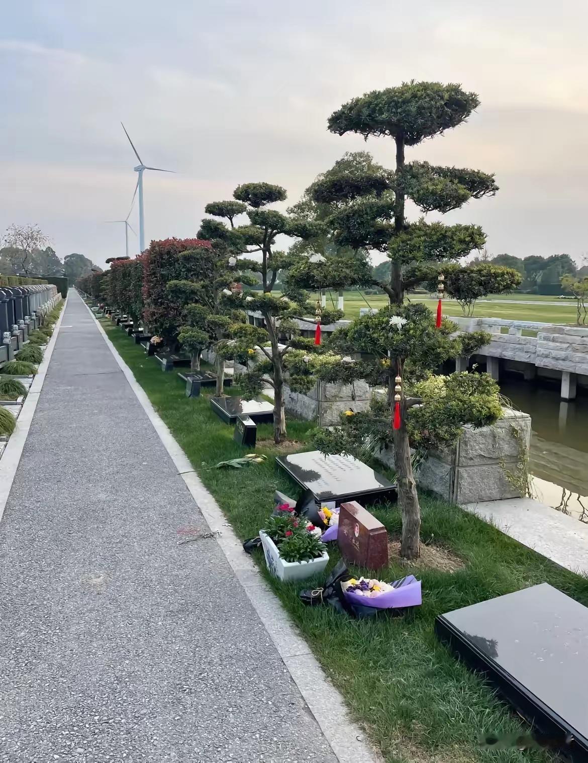 树葬也是一种趋势

随着老龄化社会的到来，去世后的老人安葬也是一个社会问题！
