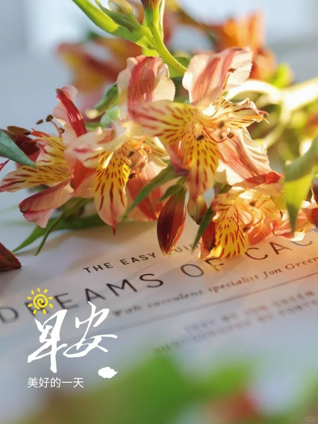 每天愿意给自己“充电”的人 才能让自己的人生“亮”起来 